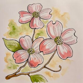 Dogwood blossoms! 

#spring #dogwoodblossoms #flowerillustrations #blossoms #artblossoms #penandinkblossoms
